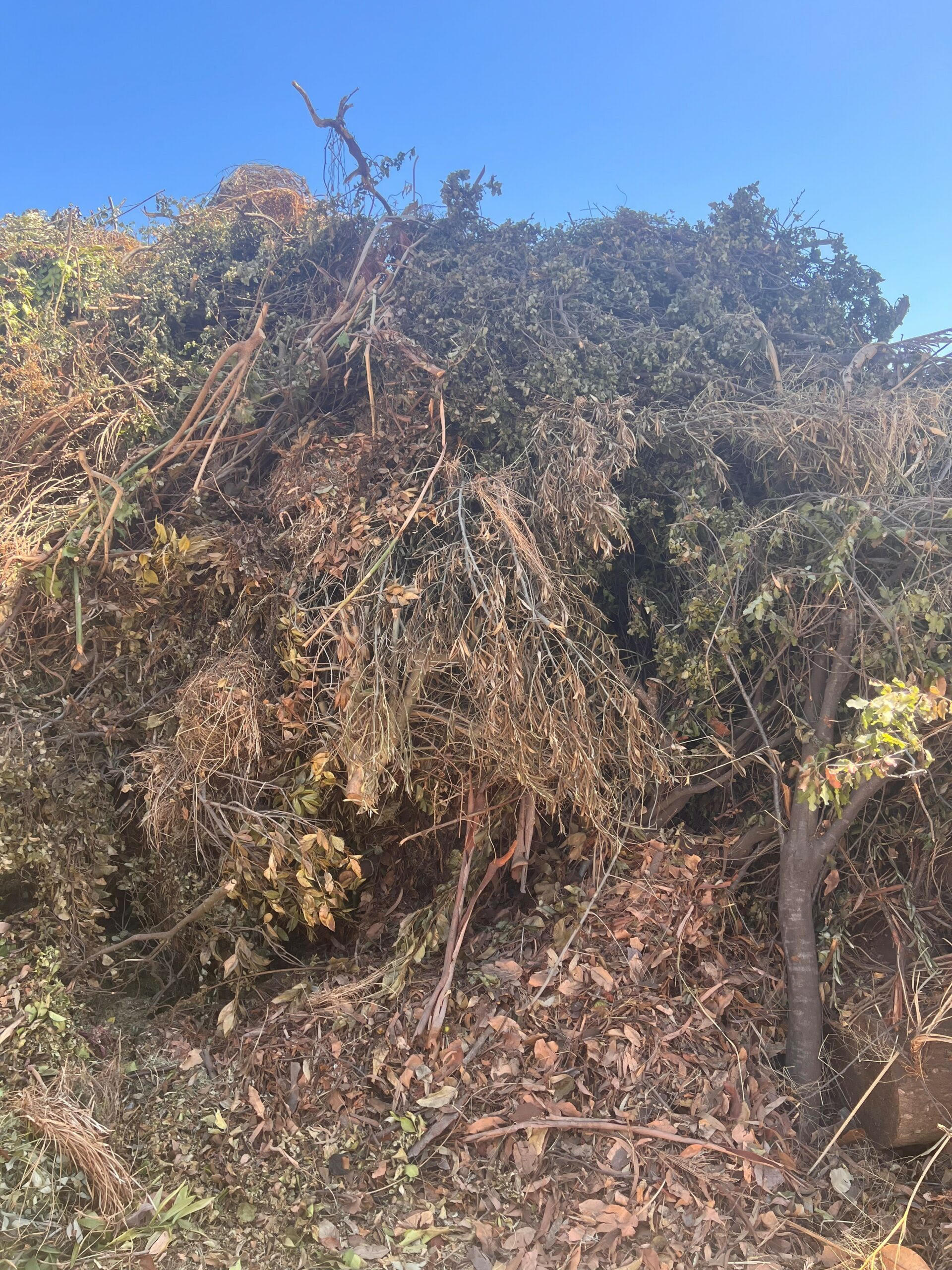 Green Waste Disposal - Levin Landscape Depot