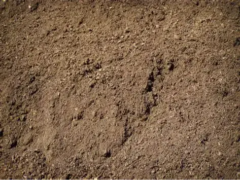 Screened Topsoil (General Blend)