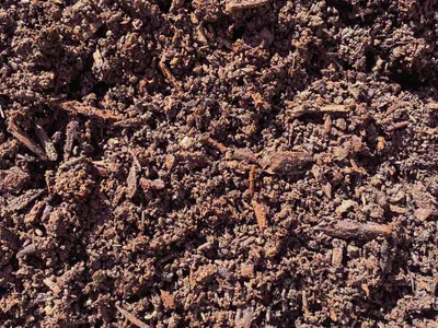 Organic Compost