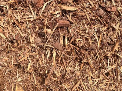 Untreated Aged Pine Mulch