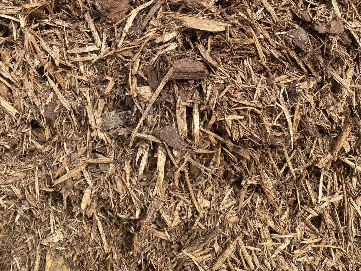 Untreated Aged Pine Mulch