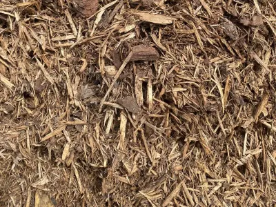 Untreated Aged Pine Mulch