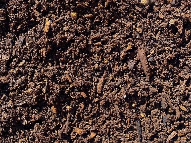 Organic Garden Mix