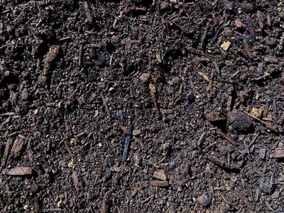Organic Vege Mix