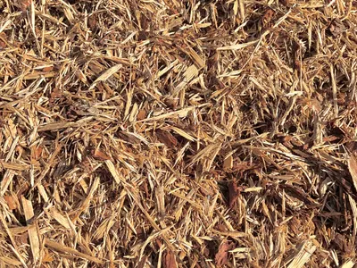 Untreated Fresh Pine Mulch