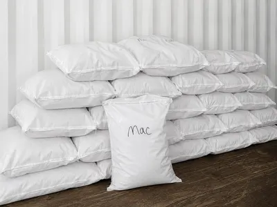 Bagged Mac